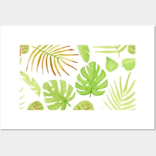 Watercolor Tropical Plants Posters and Art